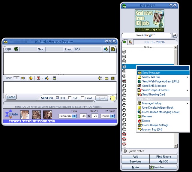 Programm ICQ Pro 2003b 1