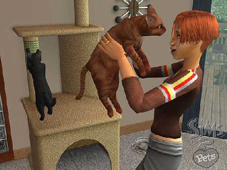 Spiel The Sims 2: Einfach tierisch 3