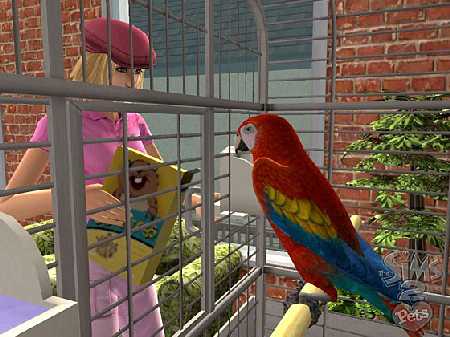 Spiel The Sims 2: Einfach tierisch 4